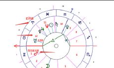 宫主星/命主星
